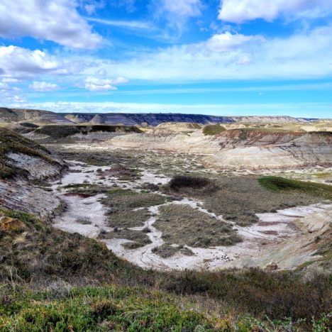 Family Friendly Hikes in Drumheller