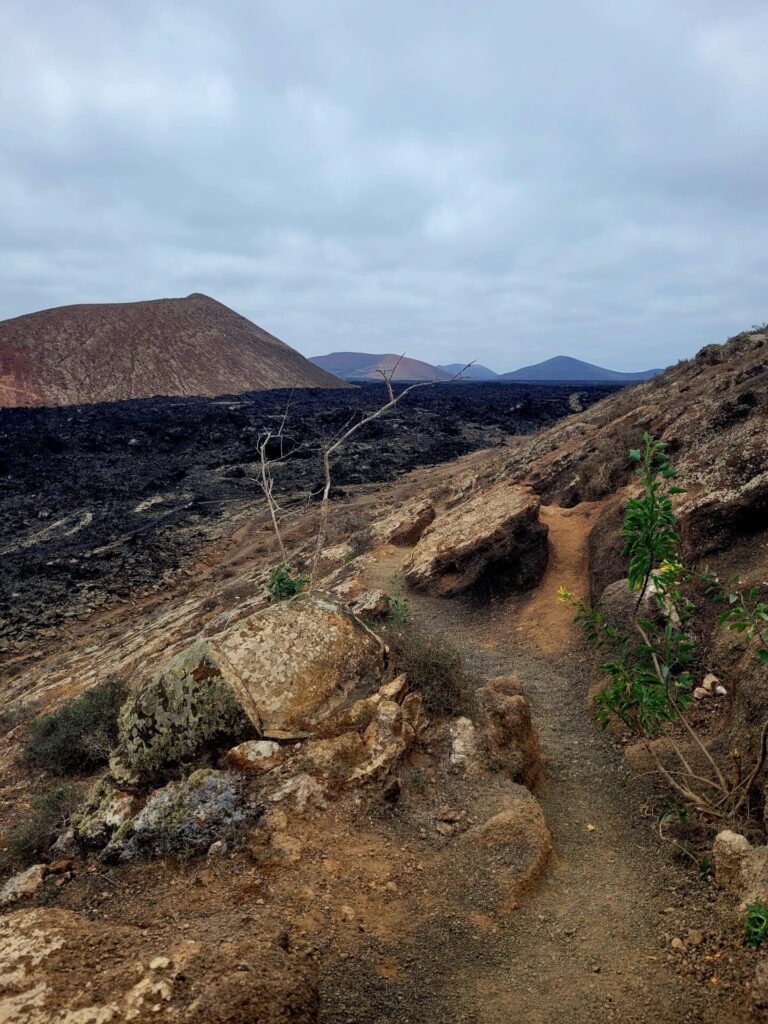 Volcanoes Natural Park- Lanzarote