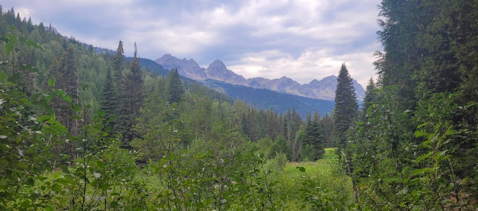 Calgary to Fernie, British Columbia: Weekend Family Getaway