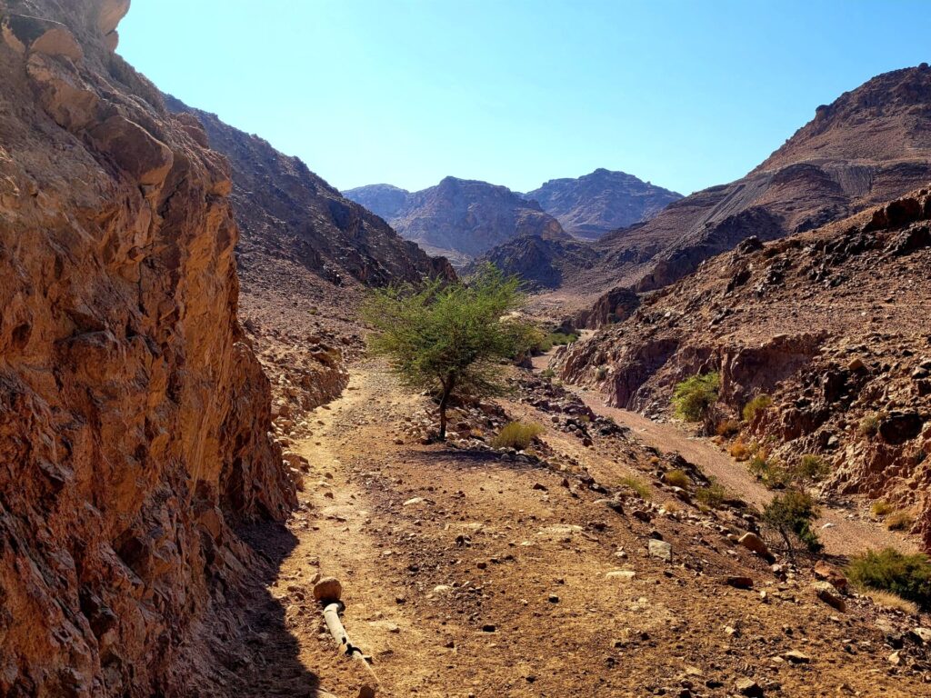 The Jordan Trail: Dana Biosphere Reserve