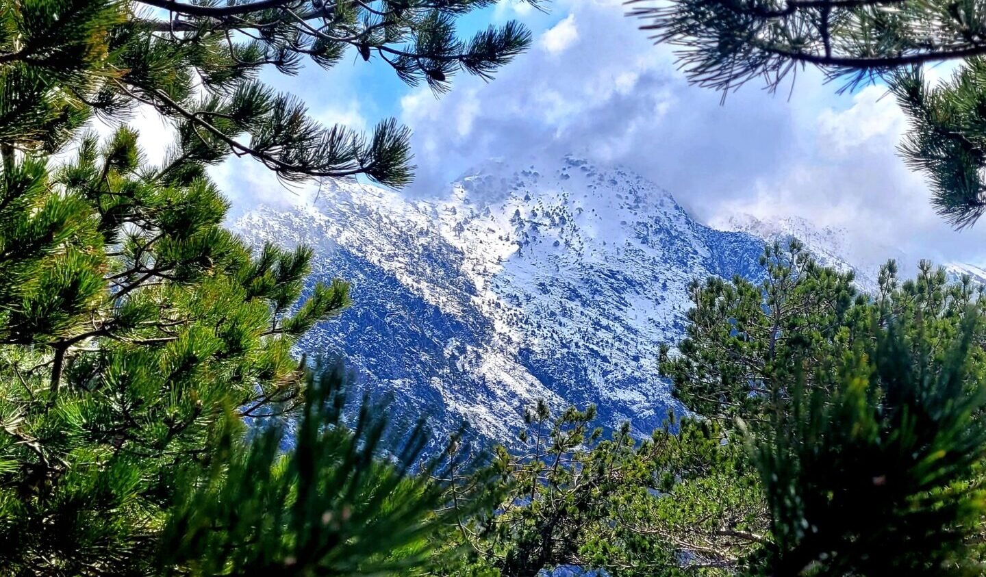 Hiking Maja e Qores: Llogara National Park, Albania