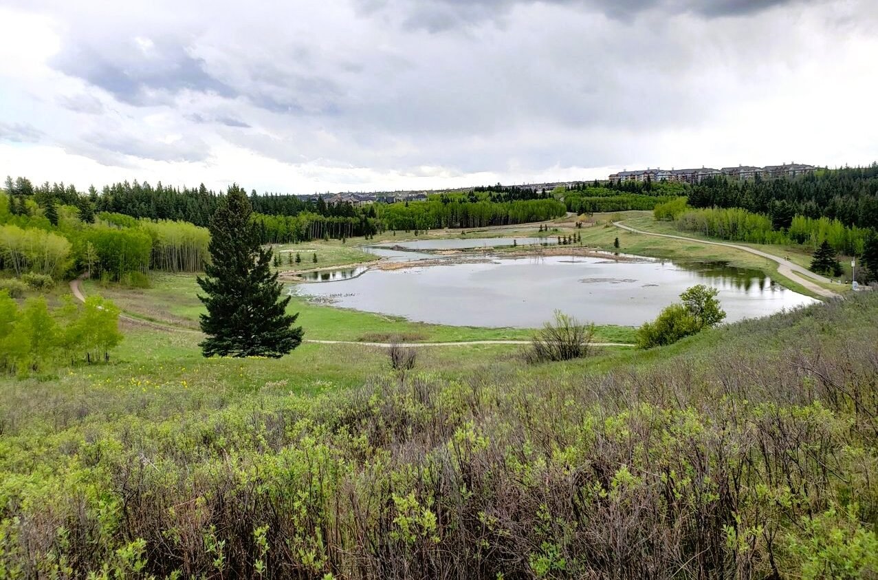 Ultimate Guide to Calgary’s Fish Creek Provincial Park