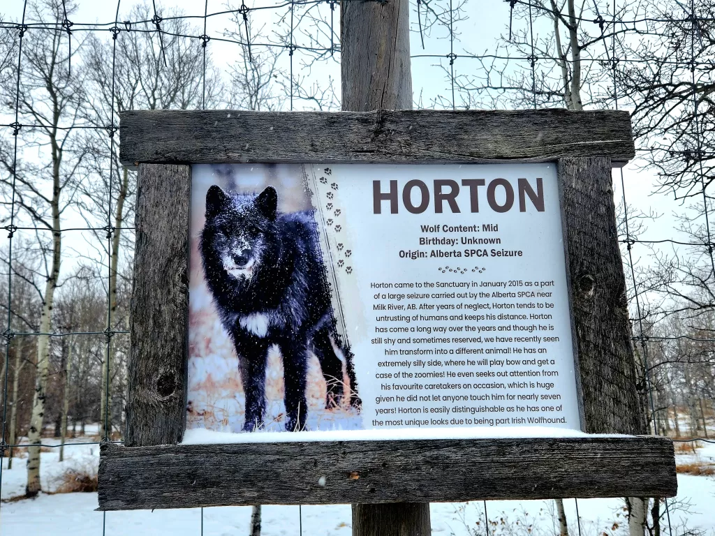 Wolfdog signage