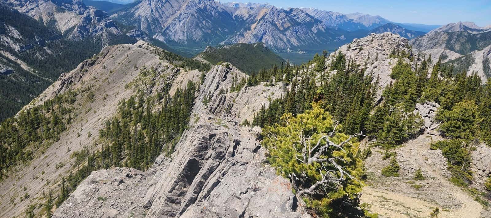 How to Hike Wasootch Ridge in Kananaskis