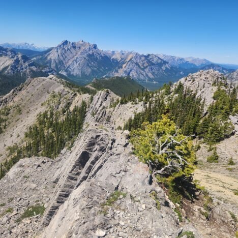 How to Hike Tunnel Mountain Summit Trail in Banff