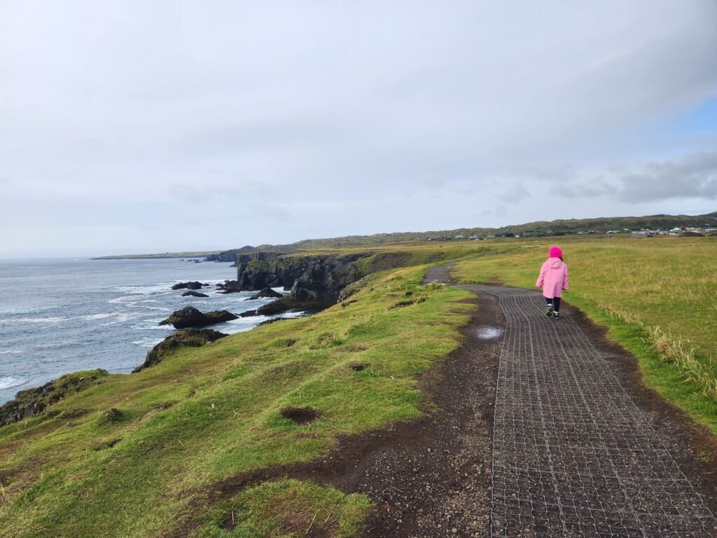 Arnarstapi to Hellnar Hike, Iceland