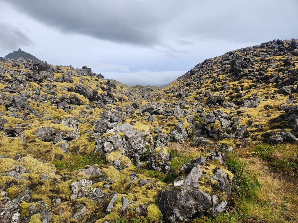 Lava Fields, Arnarstapi to Hellnar